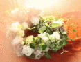 European Flower Arrangement - SEFA