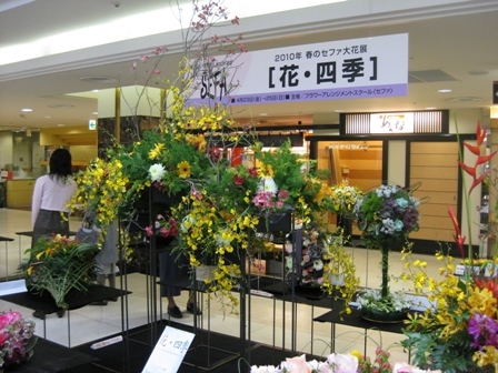 Photo_5