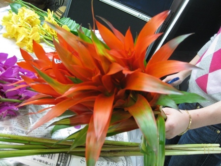 Photo_3